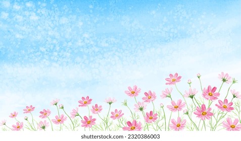 Watercolor illustration of cosmos flower field in autumn sky painted by watercolor