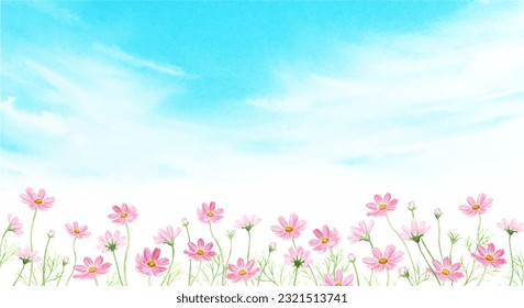 Watercolor illustration of cosmos flower field in the blue sky painted by watercolor