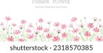 Watercolor illustration of cosmos flower fields