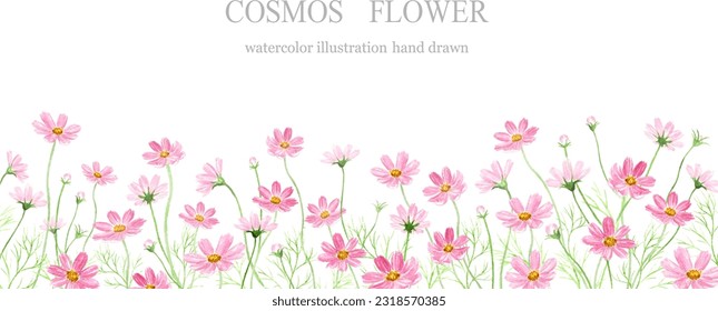 Watercolor illustration of cosmos flower fields