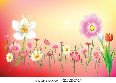 Watercolor illustration of cosmos flowers