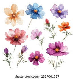 A watercolor illustration of cosmos and various wildflowers in vibrant colors, showcasing delicate petals and greenery, isolated on a white background.
