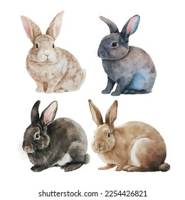 Watercolor illustration of a cute fluffy grey rabbit in a white background