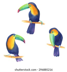 Watercolor illustration of a cute toucans sitting on a branch with leaves