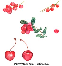 Watercolor illustration with different berries on the white background: cherry, cranberries, red currant