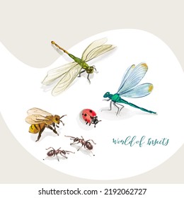 Watercolor illustration of different types of insects on a white background. Images of a dragonfly, ladybug, bee, ants