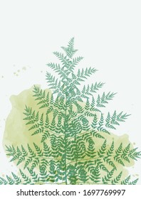 Watercolor illustration of fern. Design for poster printing, picture wall hanging, frame, and interior decoration.