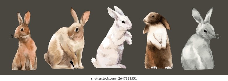 Watercolor illustration of five rabbits in various poses. The rabbits are in different colors, including brown, white, and gray, set against a dark background. Isolated animal vector set.