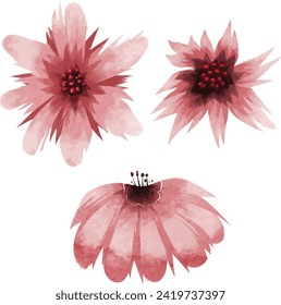 watercolor, illustration, flower, nature, clip art, colors, elegance, no people, paint, petal