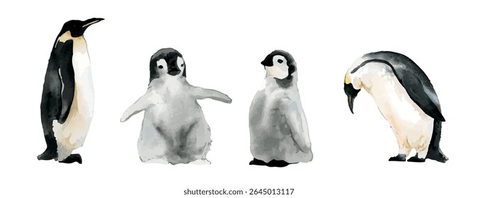 Watercolor illustration of four penguins in various poses. Penguins are depicted in black, white, and gray tones, showcasing their unique and charming features. Animal illustrations, vector set.