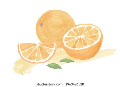 Watercolor illustration of a fresh orange and its cross section