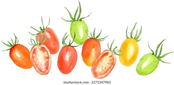 Watercolor illustration of fruit tomatoes