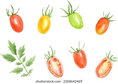 Watercolor illustration of fruit tomatoes set