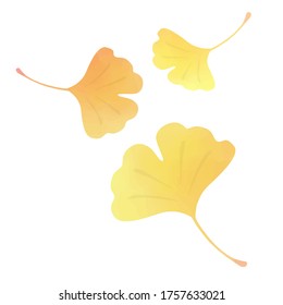 Watercolor illustration of ginkgo leaves.