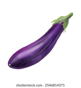 Watercolor illustration glossy fresh purple long eggplant white background