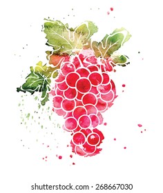 Watercolor illustration - grapes