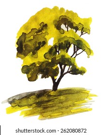 watercolor illustration of a green oak tree on sunset