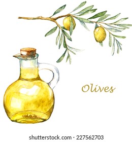 Watercolor illustration with green olive branch and olive oil in the bottle