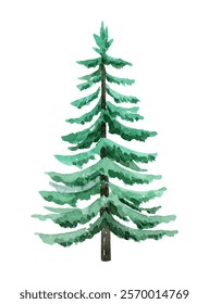 Watercolor illustration of a green pine tree on a transparent background