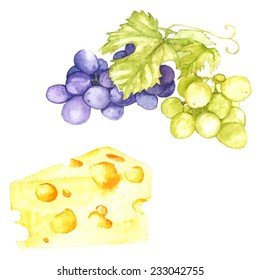 Watercolor illustration with isolated vector grape and cheese on the white background