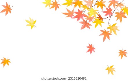 Illustration à l'aquarelle des feuilles d'érable d'automne japonaises
