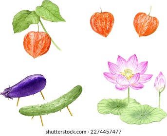 Watercolor illustration of Japanese Bon festival decoration