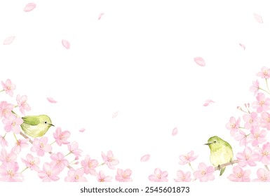 Watercolor illustration of a Japanese white-perched on a cherry blossom branch