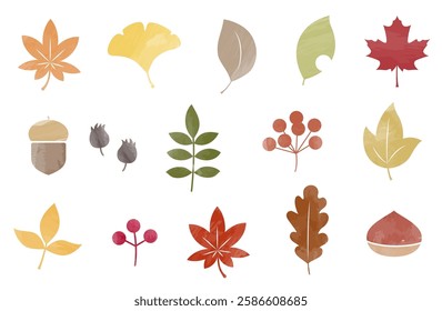 Watercolor illustration of leaves and nuts