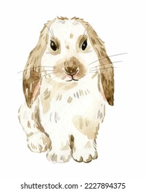 Watercolor illustration of little rabbit. Hand-drawn illustration isolated on the white background