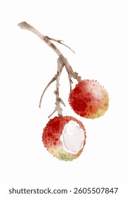 Watercolor Illustration of Lychee Fruits on a Branch