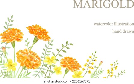 Watercolor illustration of marigold decoration