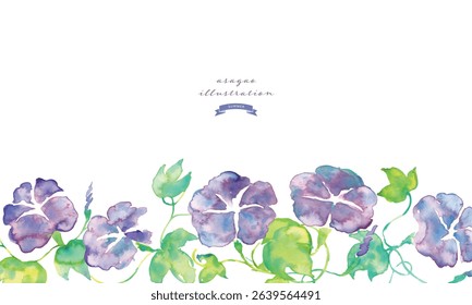 Watercolor illustration of morning glory. Summer morning glory vector watercolor. Summer watercolor background.
