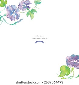 Watercolor illustration of morning glory. Summer morning glory vector watercolor. Summer watercolor background.