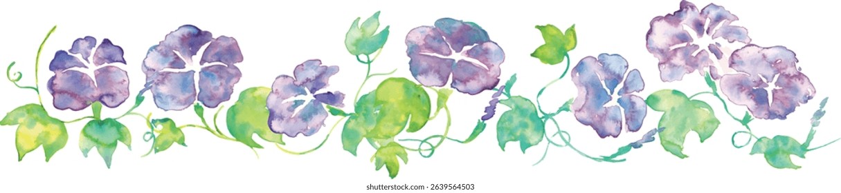 Watercolor illustration of morning glory. Summer morning glory vector watercolor. Summer watercolor background.