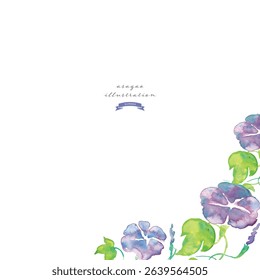 Watercolor illustration of morning glory. Summer morning glory vector watercolor. Summer watercolor background.