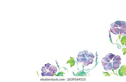 Watercolor illustration of morning glory. Summer morning glory vector watercolor. Summer watercolor background.
