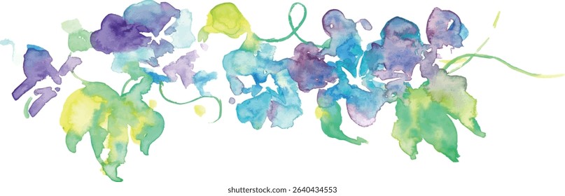 Watercolor illustration of morning glory. Vector illustration of morning glory in watercolor. Japanese summer morning glory background.
