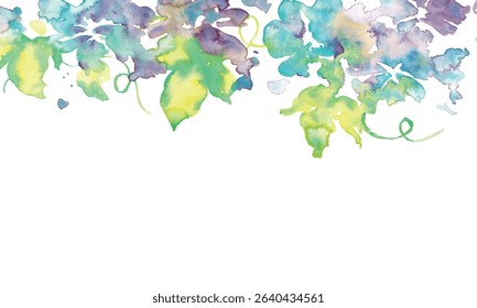Watercolor illustration of morning glory. Vector illustration of morning glory in watercolor. Japanese summer morning glory background.