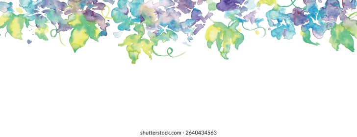 Watercolor illustration of morning glory. Vector illustration of morning glory in watercolor. Japanese summer morning glory background.