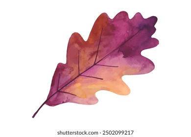 Watercolor illustration of an oak leaf isolated on a white background. Hand drawn vector illustration