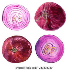 Watercolor Illustration Onion