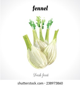 Watercolor illustration of a painting technique. Fresh organic food. Provencal style. Fennel.