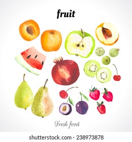 Watercolor illustration of a painting technique. Fresh organic food. Set of different fruits and berries: apricot, peach, watermelon, plums, strawberries, cherries, kiwi, apple, pomegranate and pear.