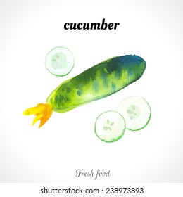Watercolor illustration of a painting technique. Fresh organic food. Provencal style. Cucumber.