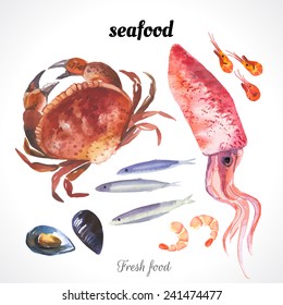 Watercolor illustration of a painting technique. Fresh organic products. Set of sea food with squid, crab, anchovies, shrimp and mussels drawn by hand on a white background.