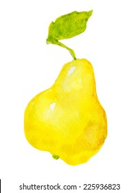Watercolor illustration of pear on texture paper. Vector illustration, isolated on white.