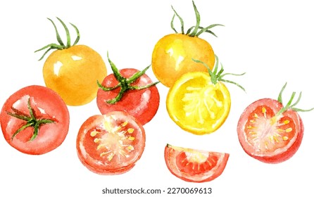 Aquarell-Illustration von kleinen Tomaten