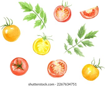 Aquarell-Illustration von kleinen Tomaten-Set