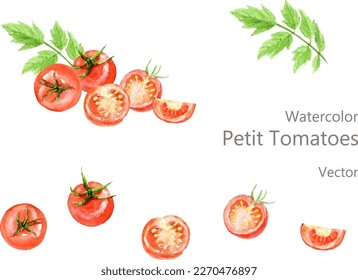 Watercolor illustration of petit tomatoes set