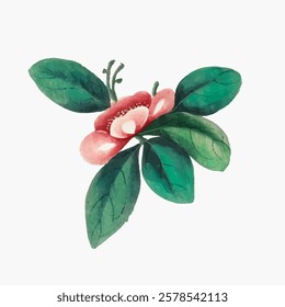 Watercolor illustration of a pink flower with green leaves. Delicate pink petals and lush green leaves. Artistic floral design with vibrant green leaves. Vintage flower illustration isolated, vector.